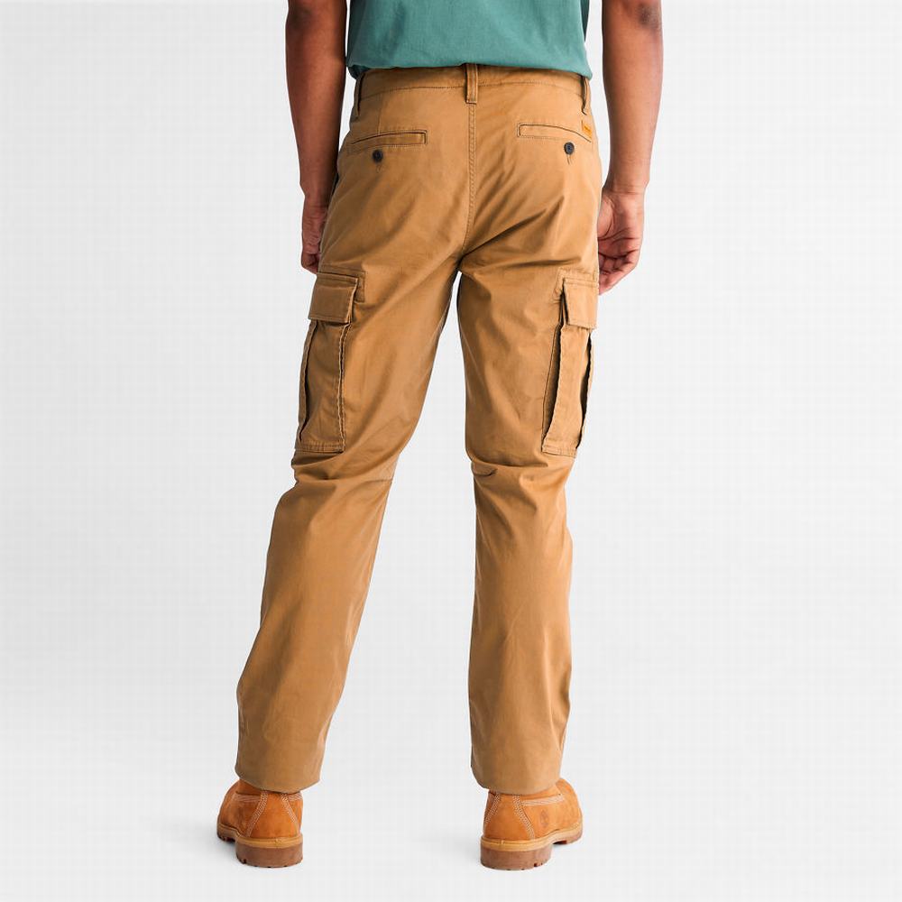 Pánské Kalhoty Timberland Squam Lake Cargo Žluté | TI91365-459