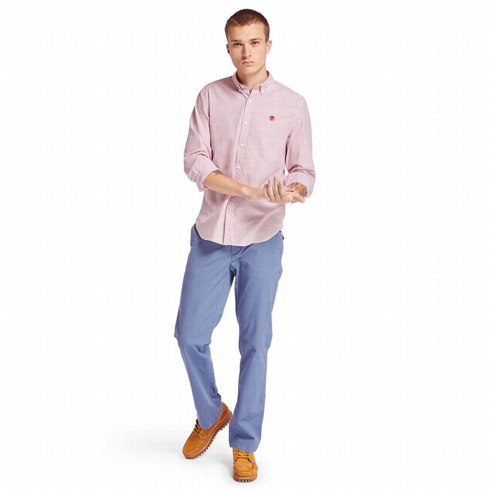Pánské Kalhoty Timberland Squam Lake Chinos Blankyt | TI06257-023