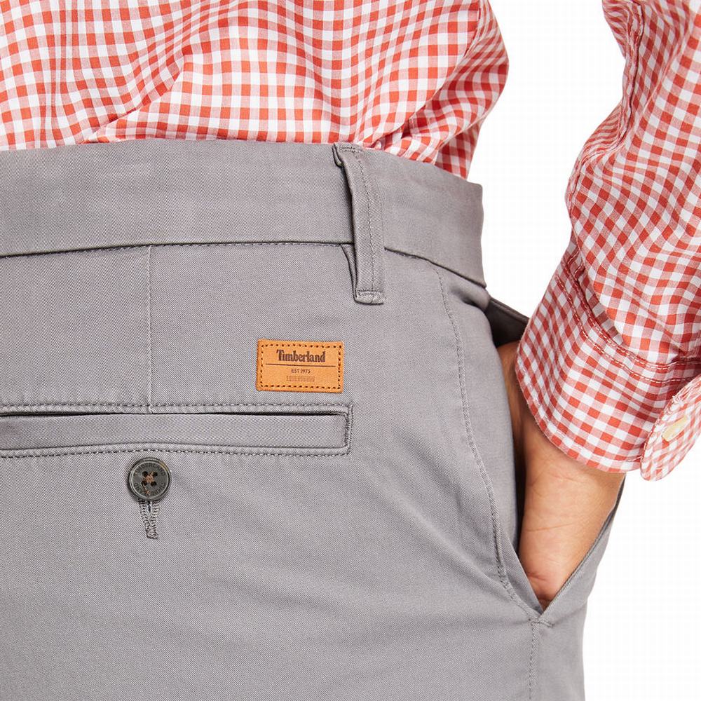 Pánské Kalhoty Timberland Squam Lake Chinos Šedé | TI50876-562