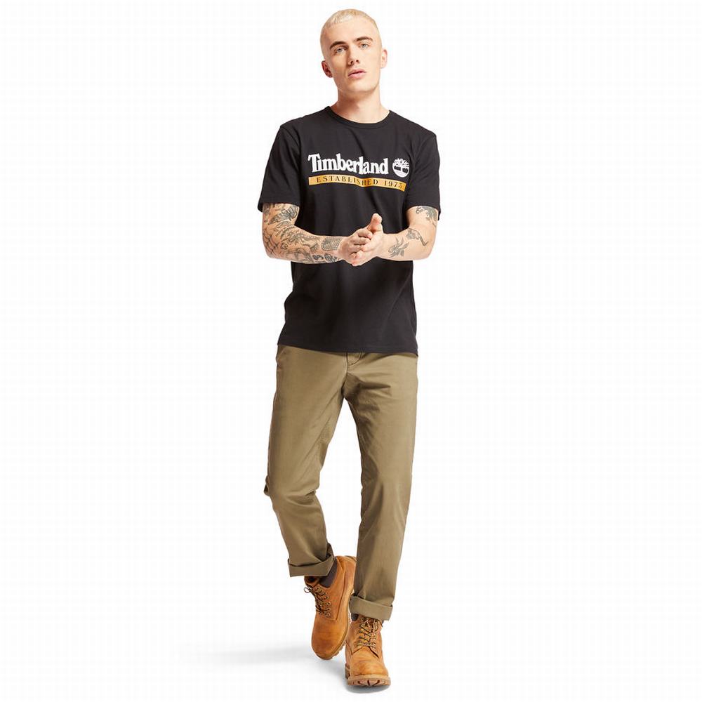 Pánské Kalhoty Timberland Squam Lake Twill Chinos Zelene | TI35107-073