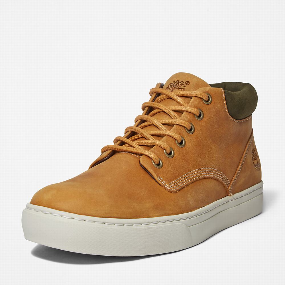 Pánské Kotníkové Boty Timberland Adventure 2.0 Cupsole Chukka Žluté | TI21508-780
