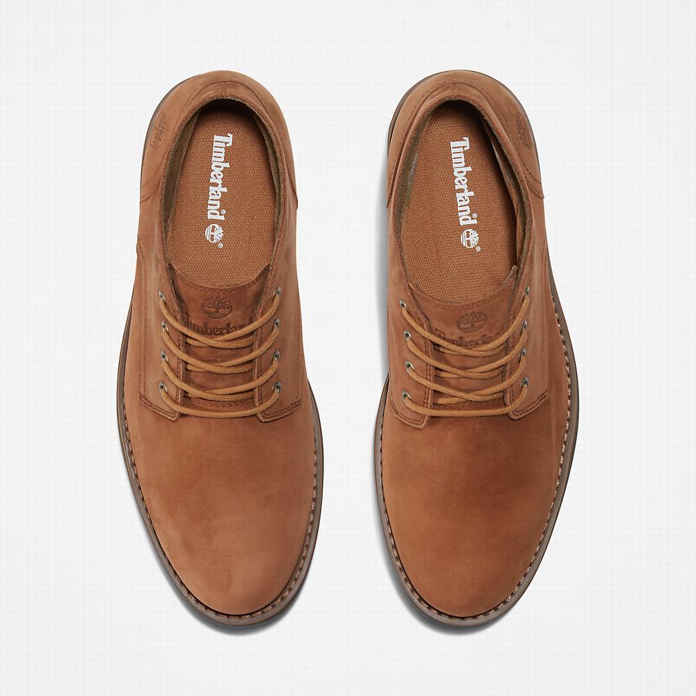 Pánské Kotníkové Boty Timberland Alden Brook Waterproof Chukka Světle Hnědé | TI42956-371