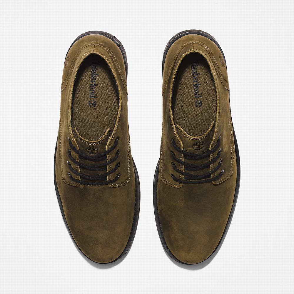 Pánské Kotníkové Boty Timberland Alden Brook Waterproof Chukka Zelene | TI74138-216