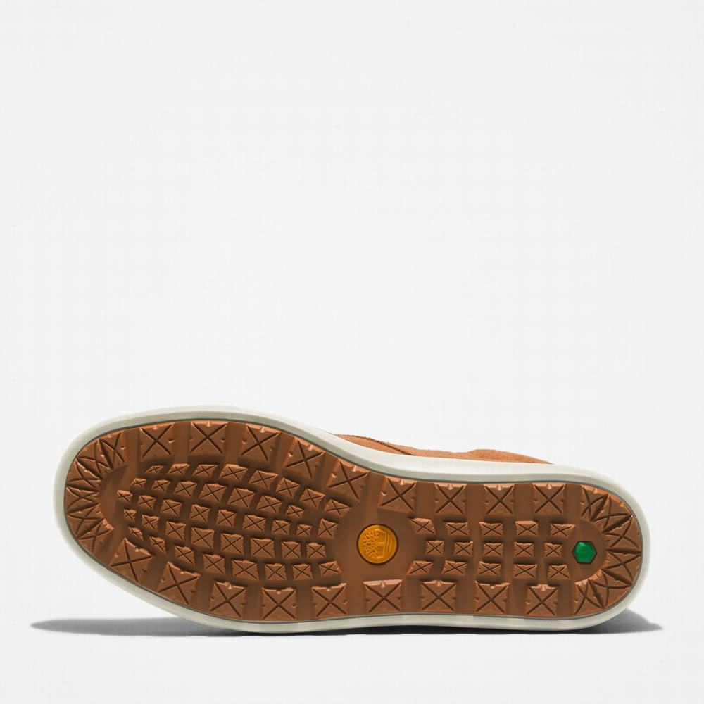 Pánské Kotníkové Boty Timberland Ashwood Park Warm-Podšité Chukka Hnědé | TI02143-648