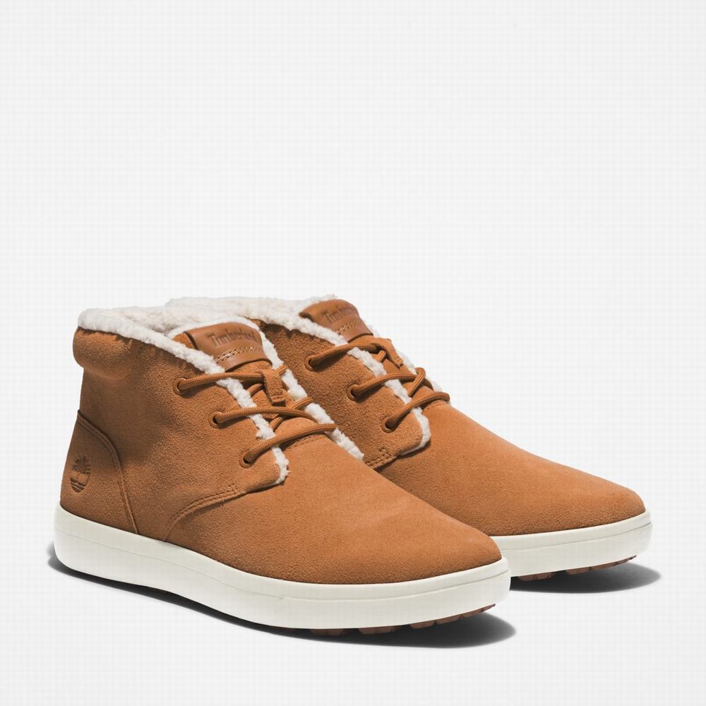 Pánské Kotníkové Boty Timberland Ashwood Park Warm-Podšité Chukka Hnědé | TI02143-648