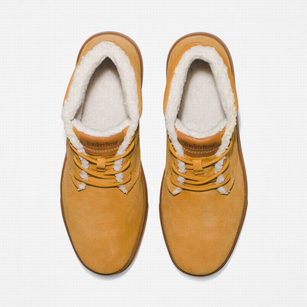 Pánské Kotníkové Boty Timberland Ashwood Park Warm-Podšité Chukka Hnědé | TI65304-492