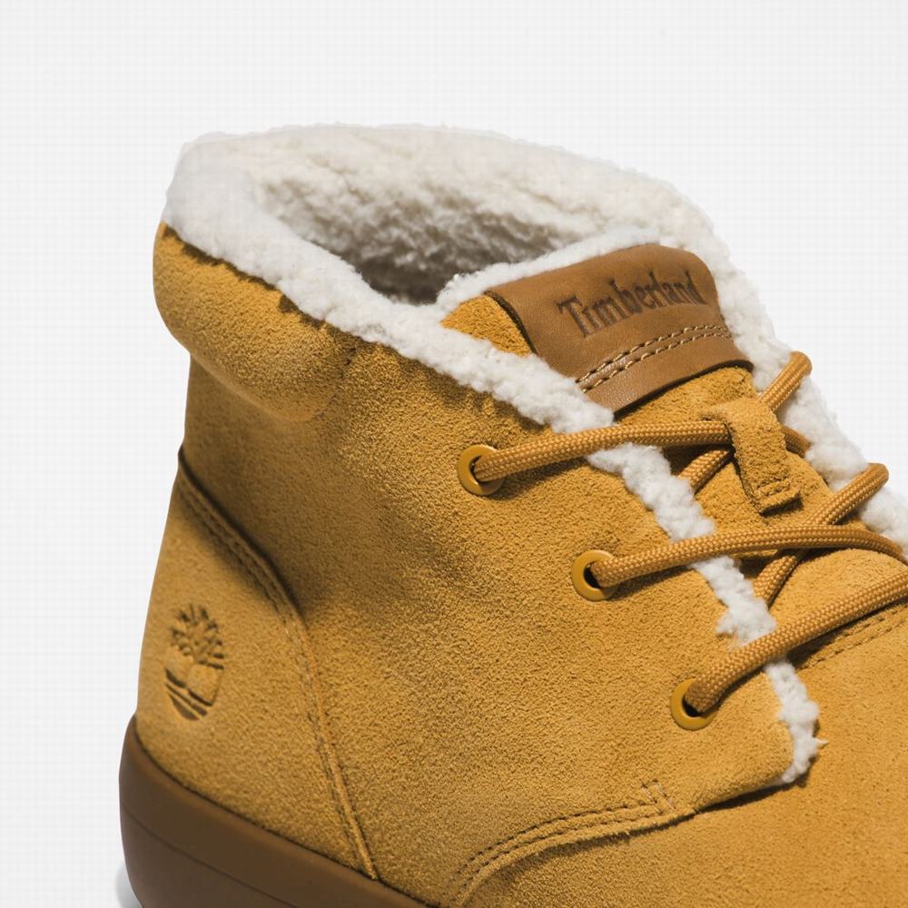 Pánské Kotníkové Boty Timberland Ashwood Park Warm-Podšité Chukka Hnědé | TI65304-492