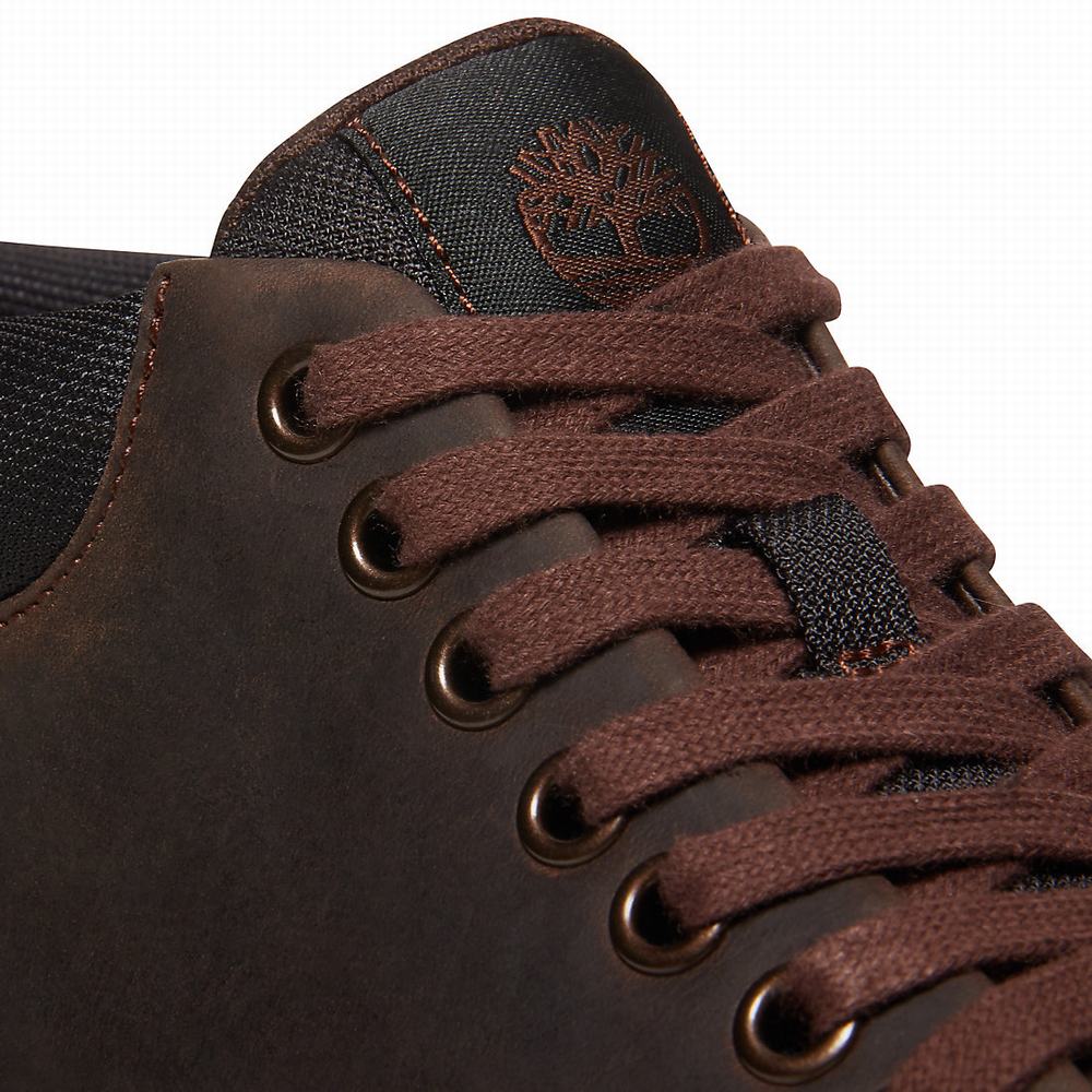 Pánské Kotníkové Boty Timberland Bradstreet Chukka Tmavě Hnědé | TI39608-658