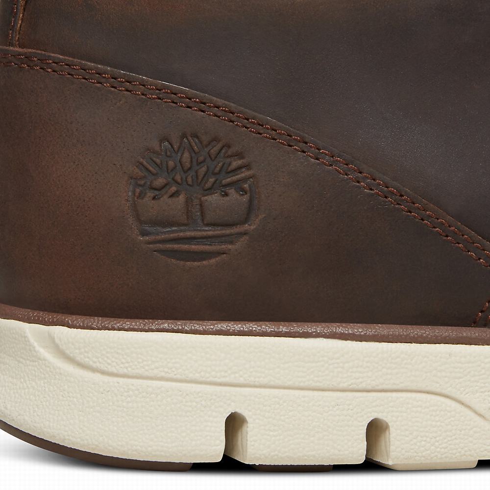 Pánské Kotníkové Boty Timberland Bradstreet Chukka Tmavě Hnědé | TI39608-658