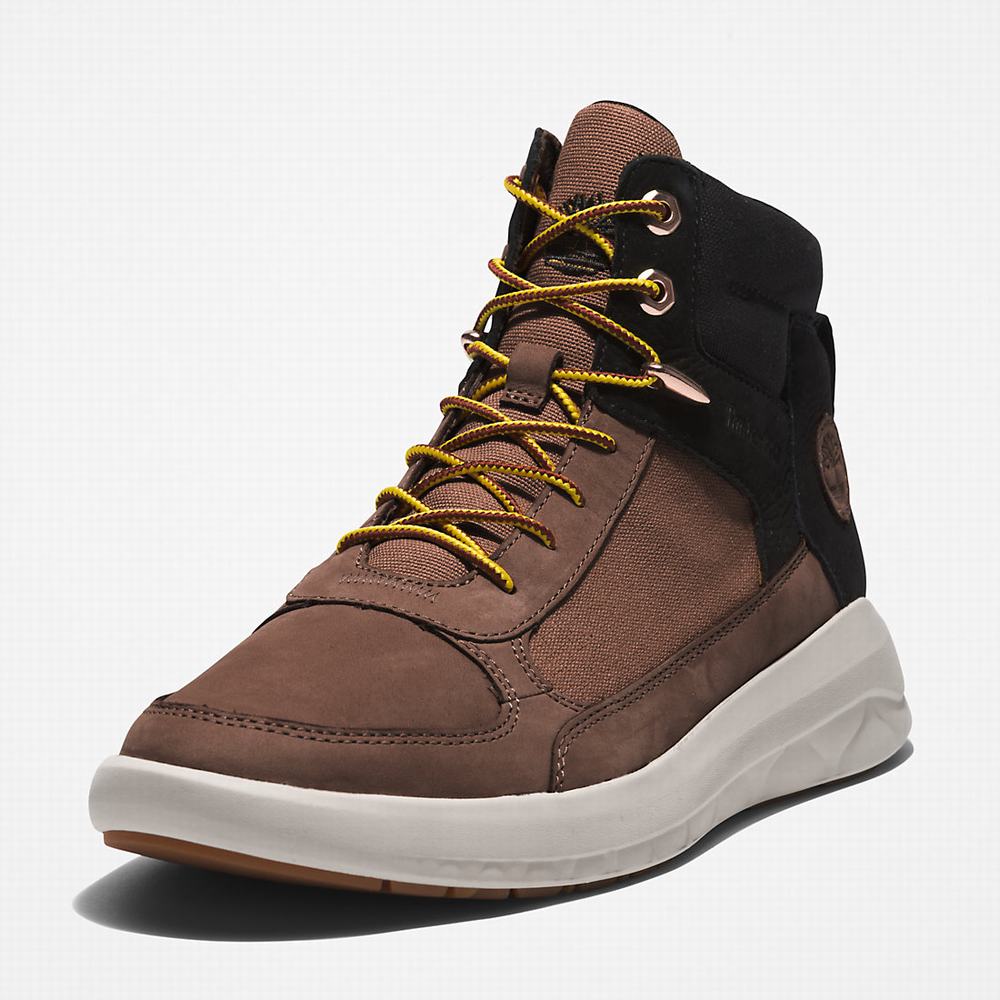 Pánské Kotníkové Boty Timberland Bradstreet Ultra Chukka Tmavě Hnědé | TI40832-908