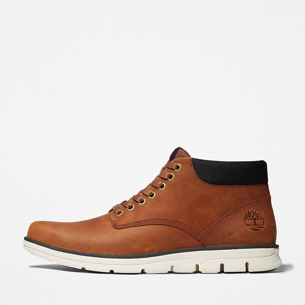 Pánské Kotníkové Boty Timberland Bradstreet Chukka Světle Hnědé | TI83510-165