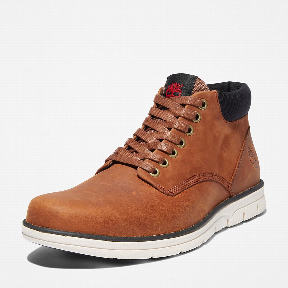 Pánské Kotníkové Boty Timberland Bradstreet Chukka Světle Hnědé | TI83510-165