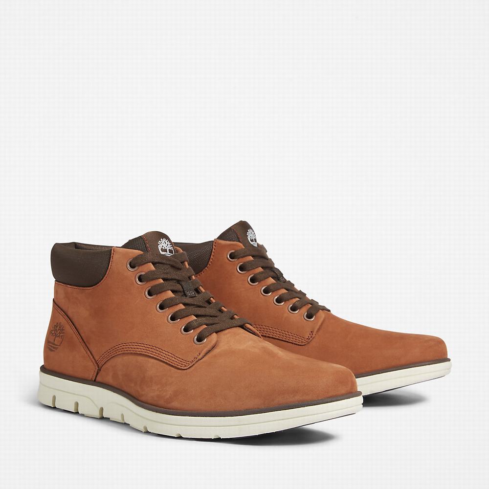 Pánské Kotníkové Boty Timberland Bradstreet Chukka Tmavě Hnědé | TI86102-561