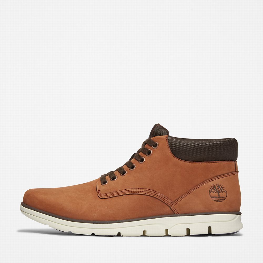 Pánské Kotníkové Boty Timberland Bradstreet Chukka Tmavě Hnědé | TI86102-561
