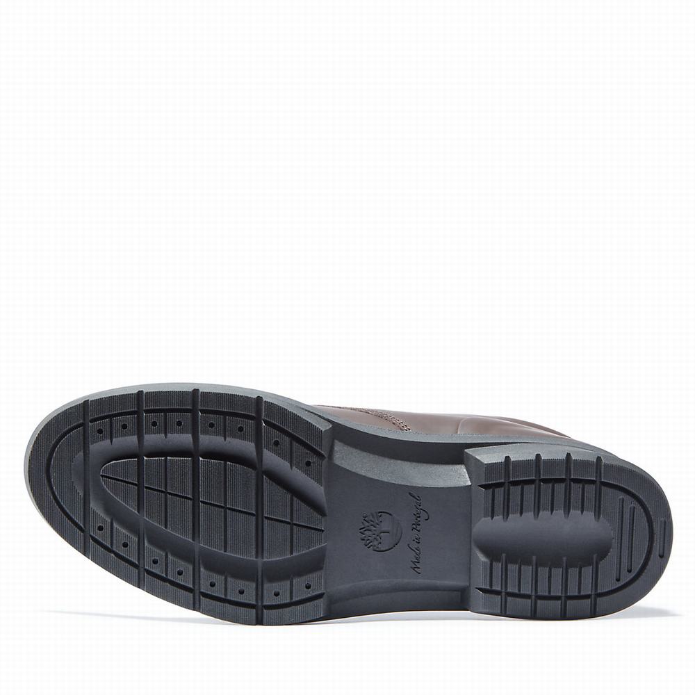 Pánské Kotníkové Boty Timberland CC Boulevard Chukka Hnědé | TI72019-490