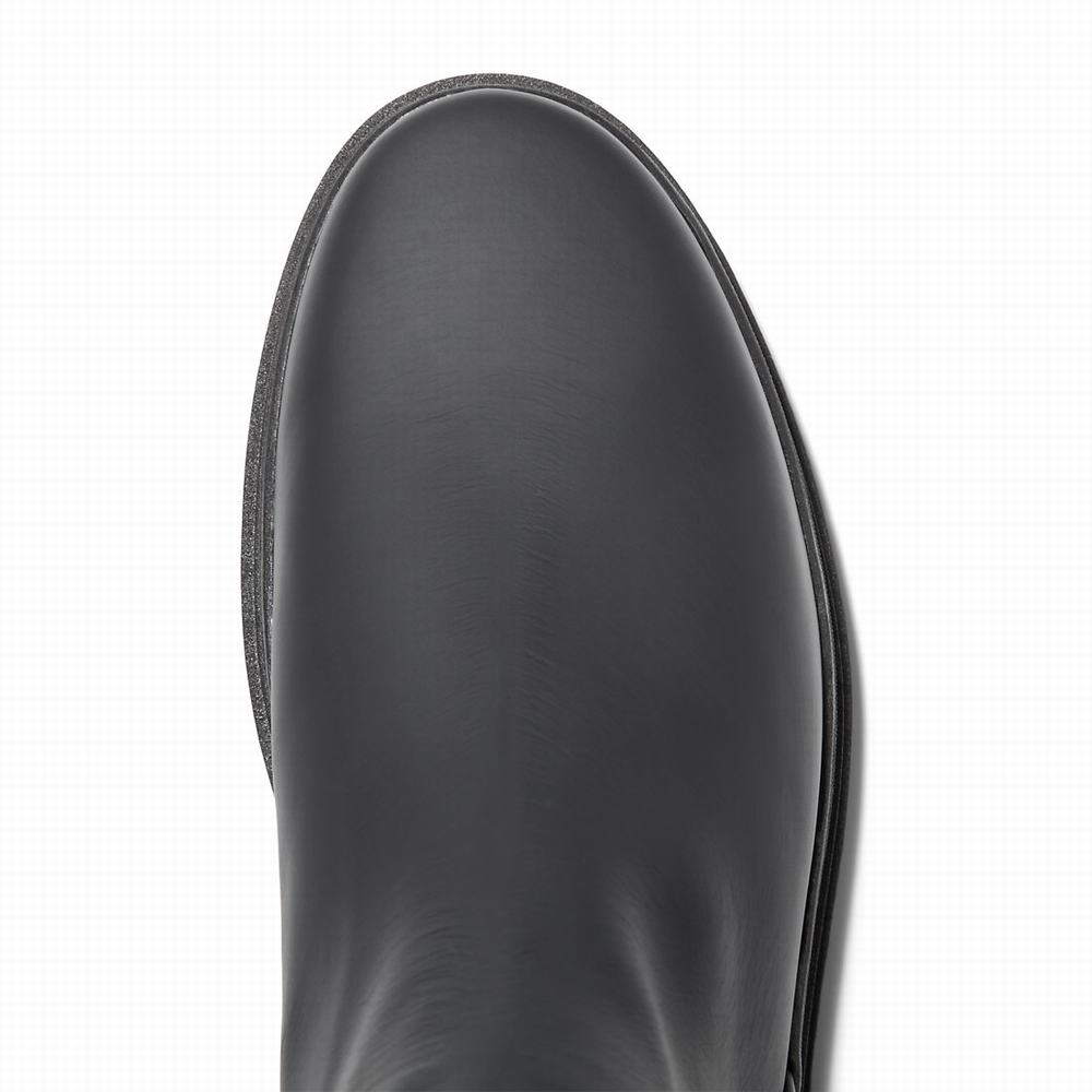 Pánské Kotníkové Boty Timberland CC Boulevard Černé | TI91384-467
