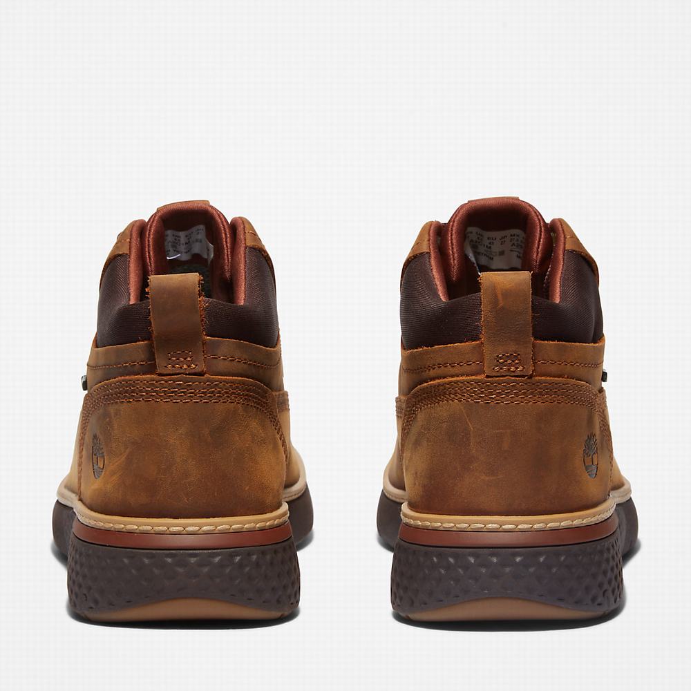 Pánské Kotníkové Boty Timberland Cross Mark Gore-Tex® Chukka Hnědé | TI85490-026