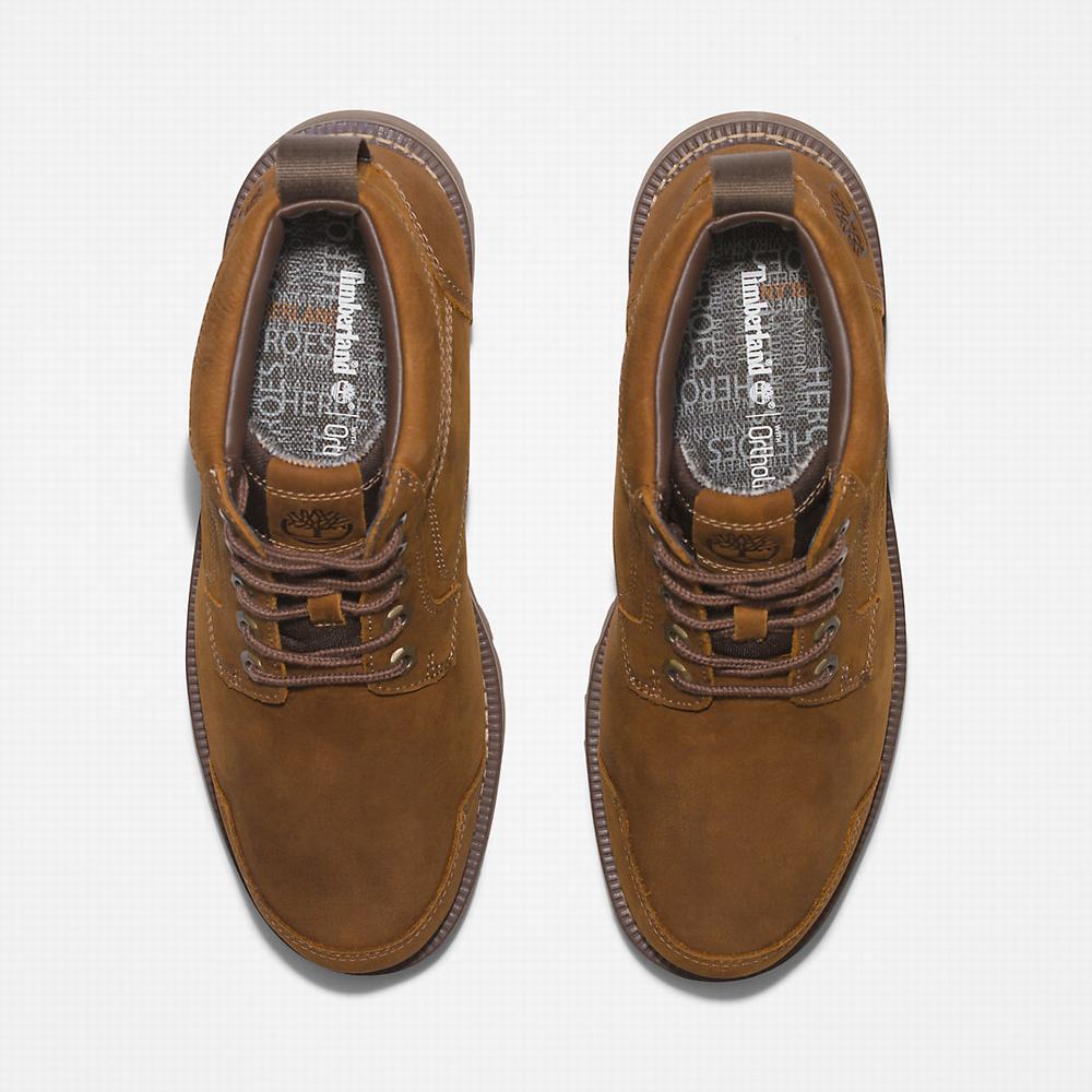 Pánské Kotníkové Boty Timberland Larchmont Chukka Světle Hnědé | TI15940-743