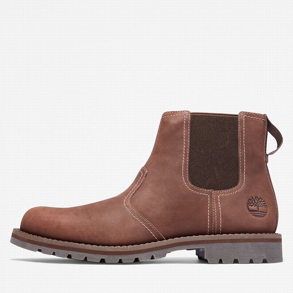 Pánské Kotníkové Boty Timberland Larchmont Světle Hnědé | TI59310-701