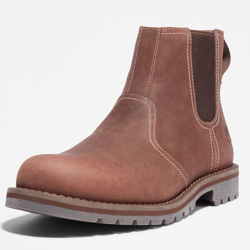 Pánské Kotníkové Boty Timberland Larchmont Světle Hnědé | TI59310-701