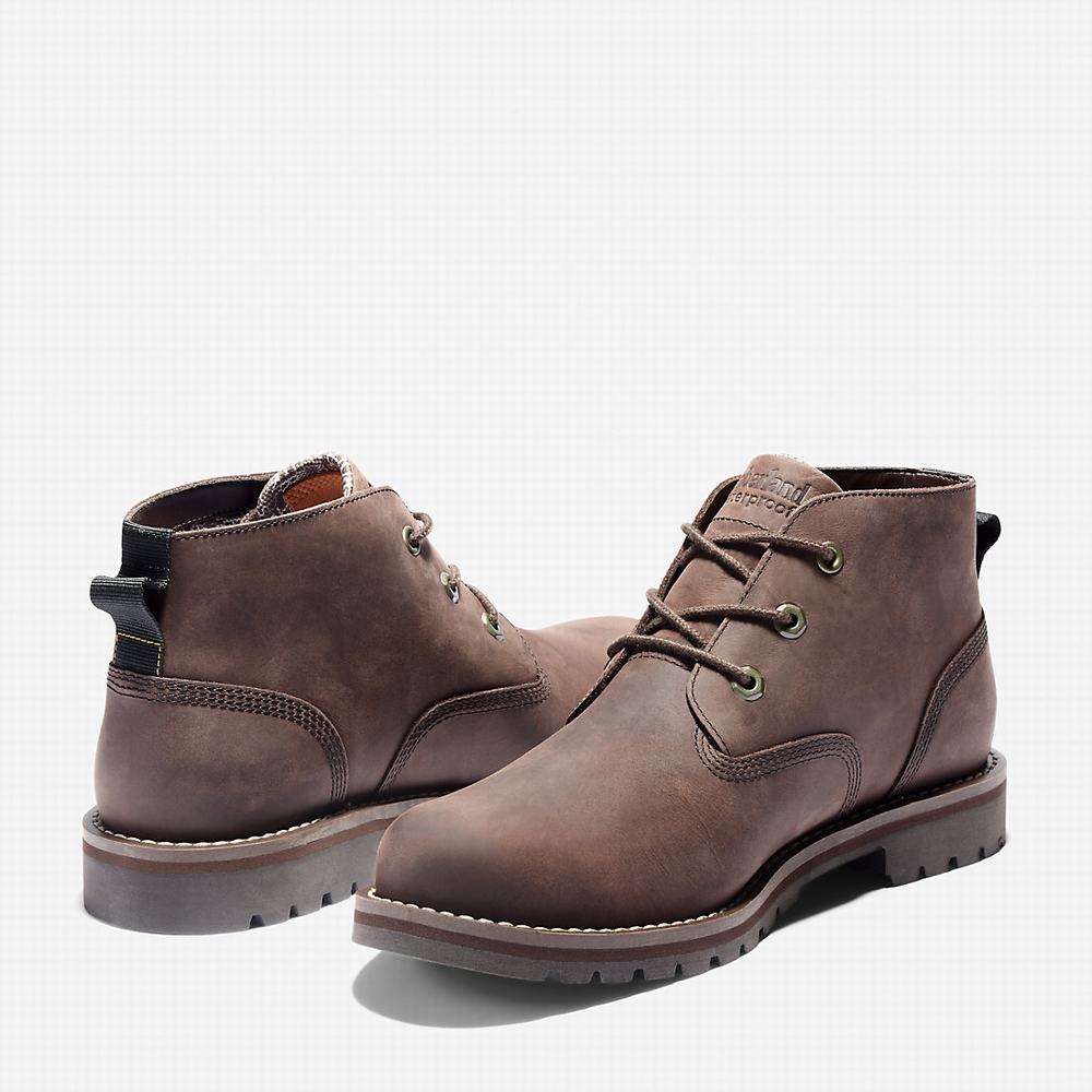 Pánské Kotníkové Boty Timberland Larchmont II Chukka Tmavě Hnědé | TI64270-643