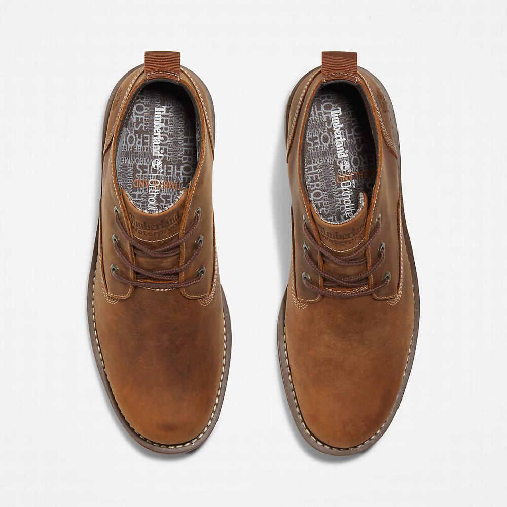 Pánské Kotníkové Boty Timberland Larchmont II Chukka Světle Hnědé | TI73951-125
