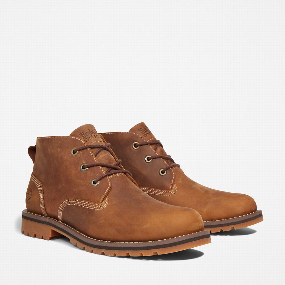 Pánské Kotníkové Boty Timberland Larchmont II Chukka Světle Hnědé | TI73951-125