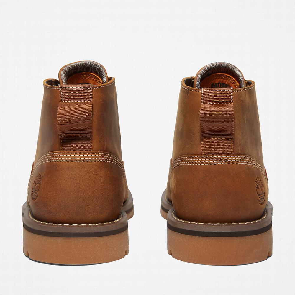 Pánské Kotníkové Boty Timberland Larchmont II Chukka Světle Hnědé | TI73951-125