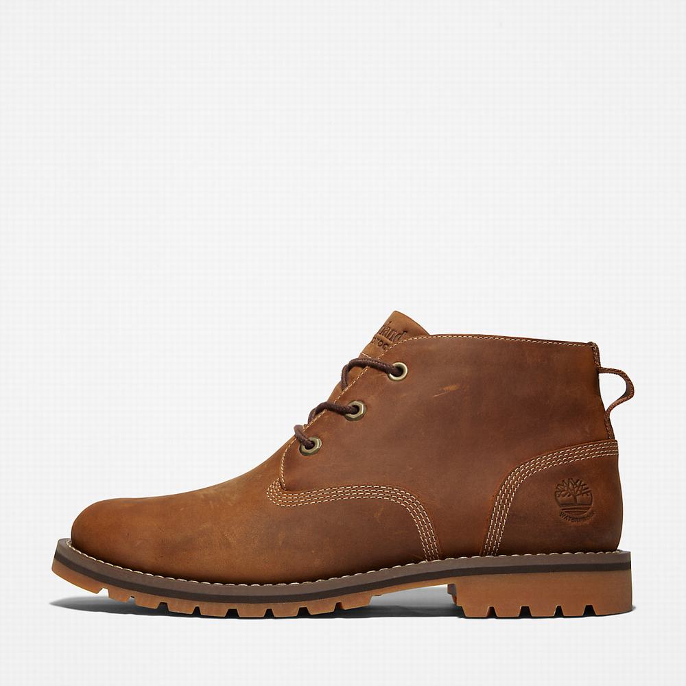 Pánské Kotníkové Boty Timberland Larchmont II Chukka Světle Hnědé | TI73951-125