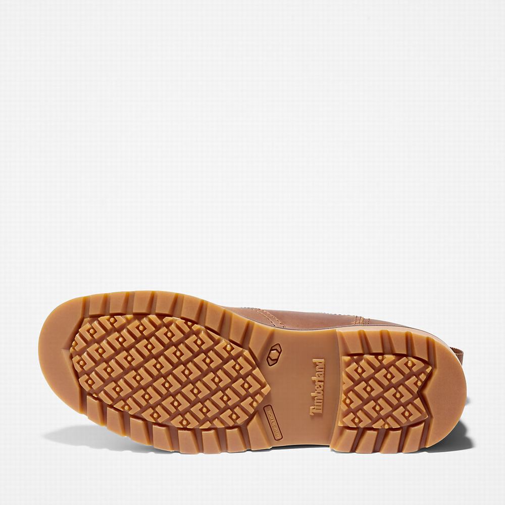 Pánské Kotníkové Boty Timberland Larchmont Světle Hnědé | TI76159-734