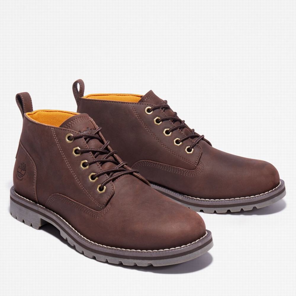 Pánské Kotníkové Boty Timberland Redwood Falls Waterproof Chukka Tmavě Hnědé | TI65049-396