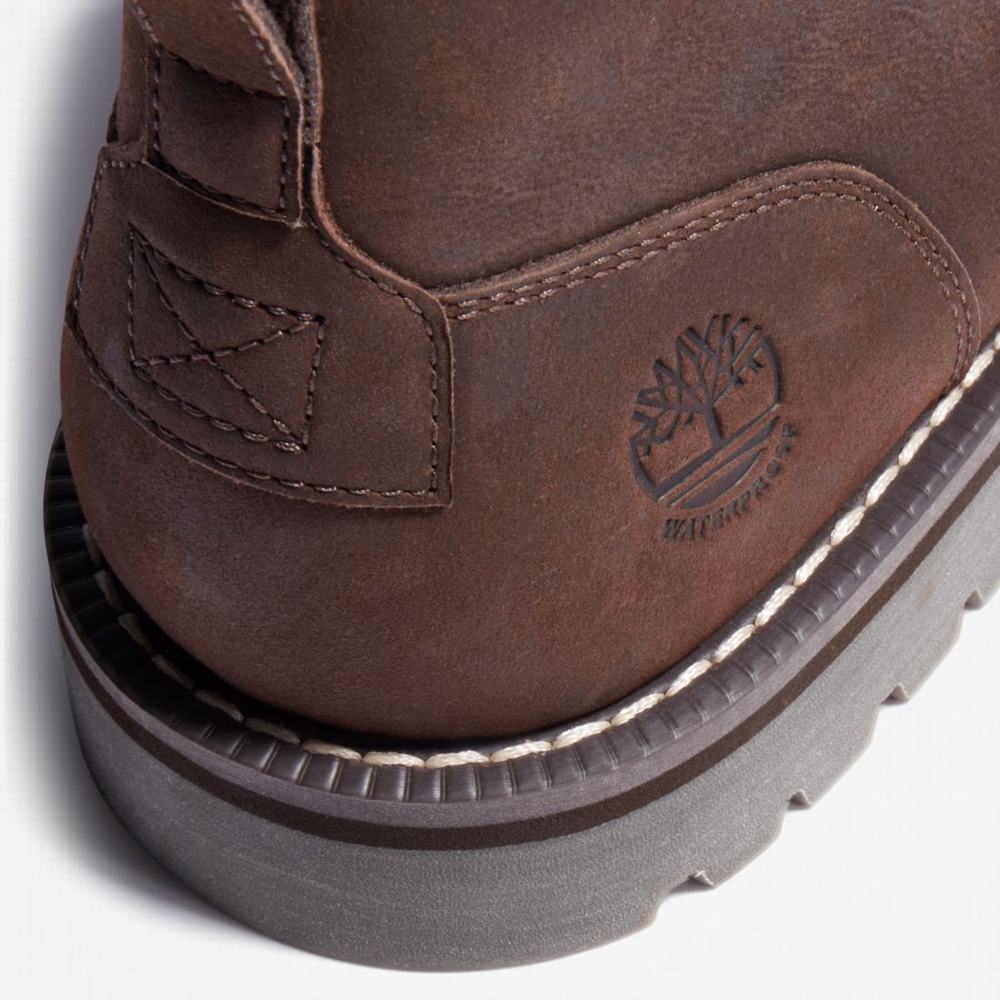 Pánské Kotníkové Boty Timberland Redwood Falls Waterproof Chukka Tmavě Hnědé | TI65049-396
