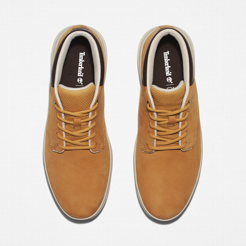 Pánské Kotníkové Boty Timberland Seneca Bay Chukka Světle Hnědé | TI10239-804