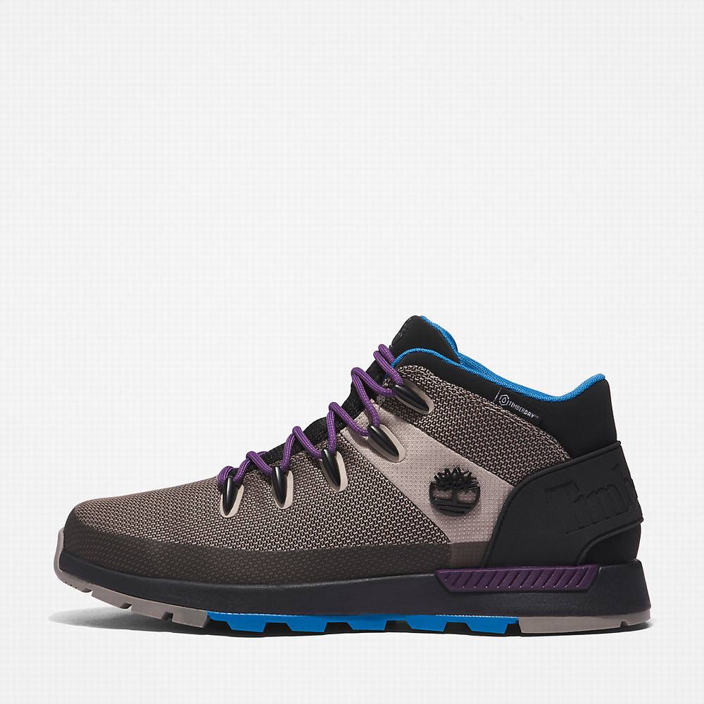Pánské Kotníkové Boty Timberland Sprint Trekker Chukka Béžový | TI13964-450