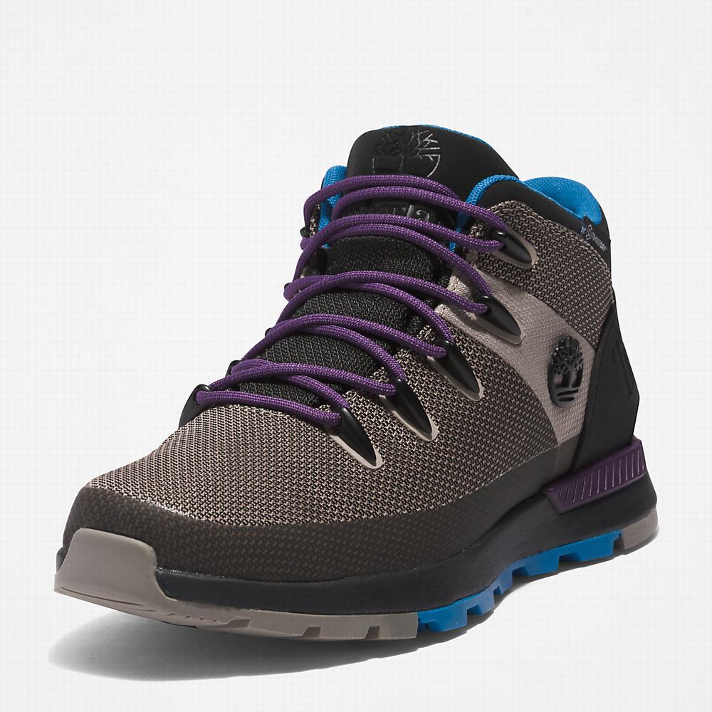 Pánské Kotníkové Boty Timberland Sprint Trekker Chukka Béžový | TI13964-450