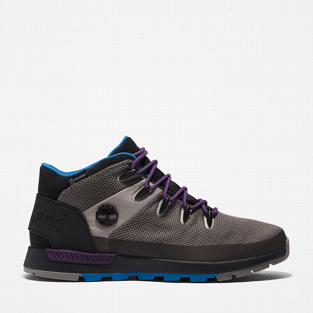 Pánské Kotníkové Boty Timberland Sprint Trekker Chukka Béžový | TI13964-450