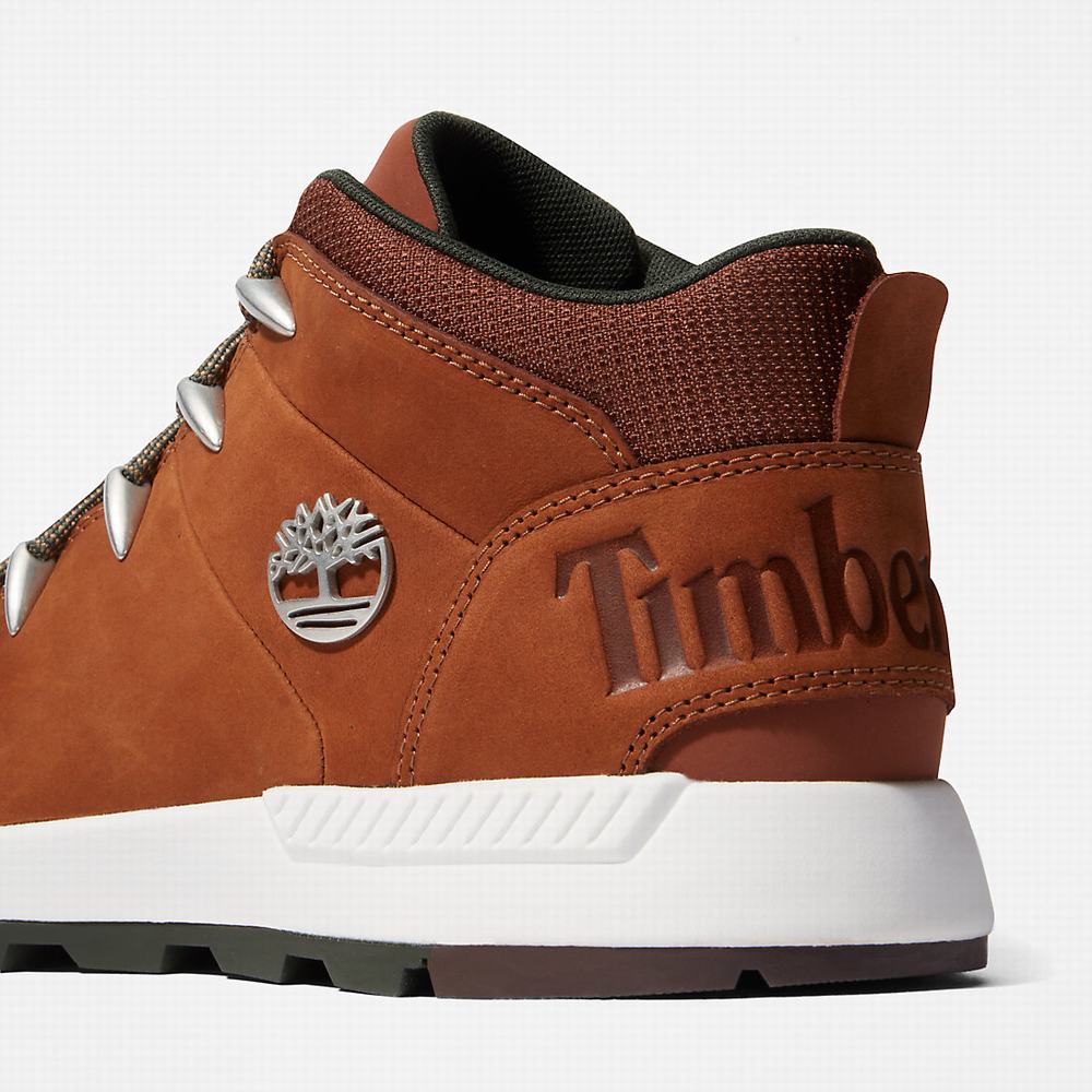 Pánské Kotníkové Boty Timberland Sprint Trekker Chukka Hnědé | TI36079-312