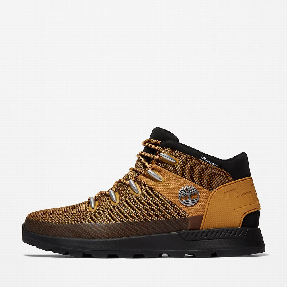 Pánské Kotníkové Boty Timberland Sprint Trekker Chukka Žluté | TI42386-925