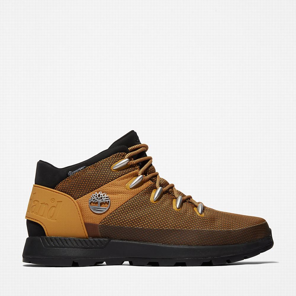 Pánské Kotníkové Boty Timberland Sprint Trekker Chukka Žluté | TI42386-925