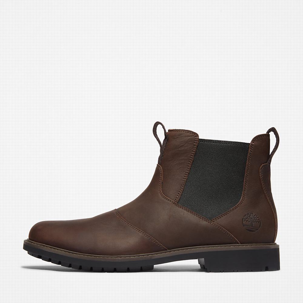 Pánské Kotníkové Boty Timberland Stormbucks Tmavě Hnědé | TI16740-691