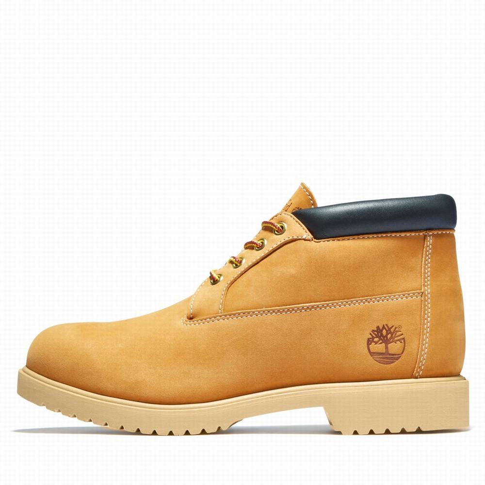 Pánské Kotníkové Boty Timberland TBL® 1973 Newman Waterproof Chukka Hnědé | TI57289-698