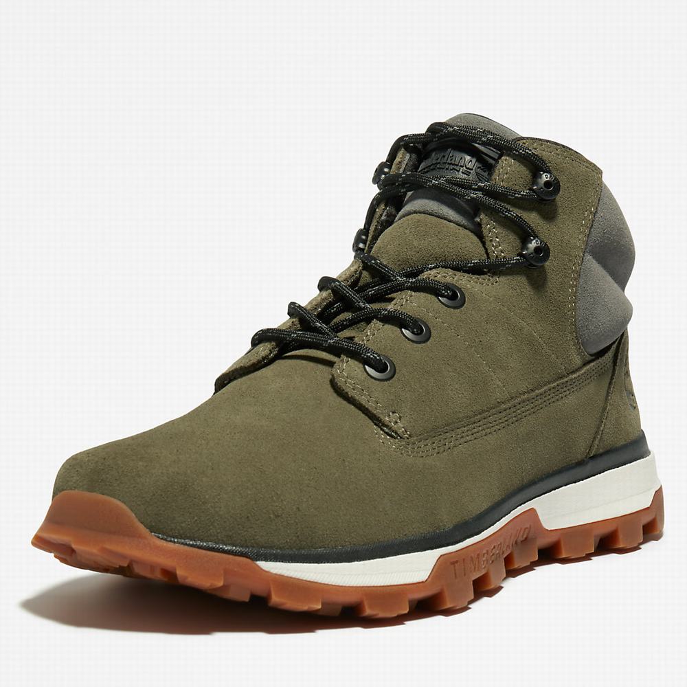 Pánské Kotníkové Boty Timberland Treeline Chukka Tmavě Zelene | TI45691-548