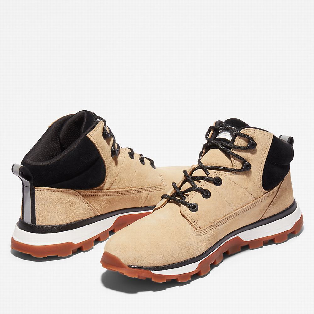 Pánské Kotníkové Boty Timberland Treeline Chukka Béžový | TI54871-580