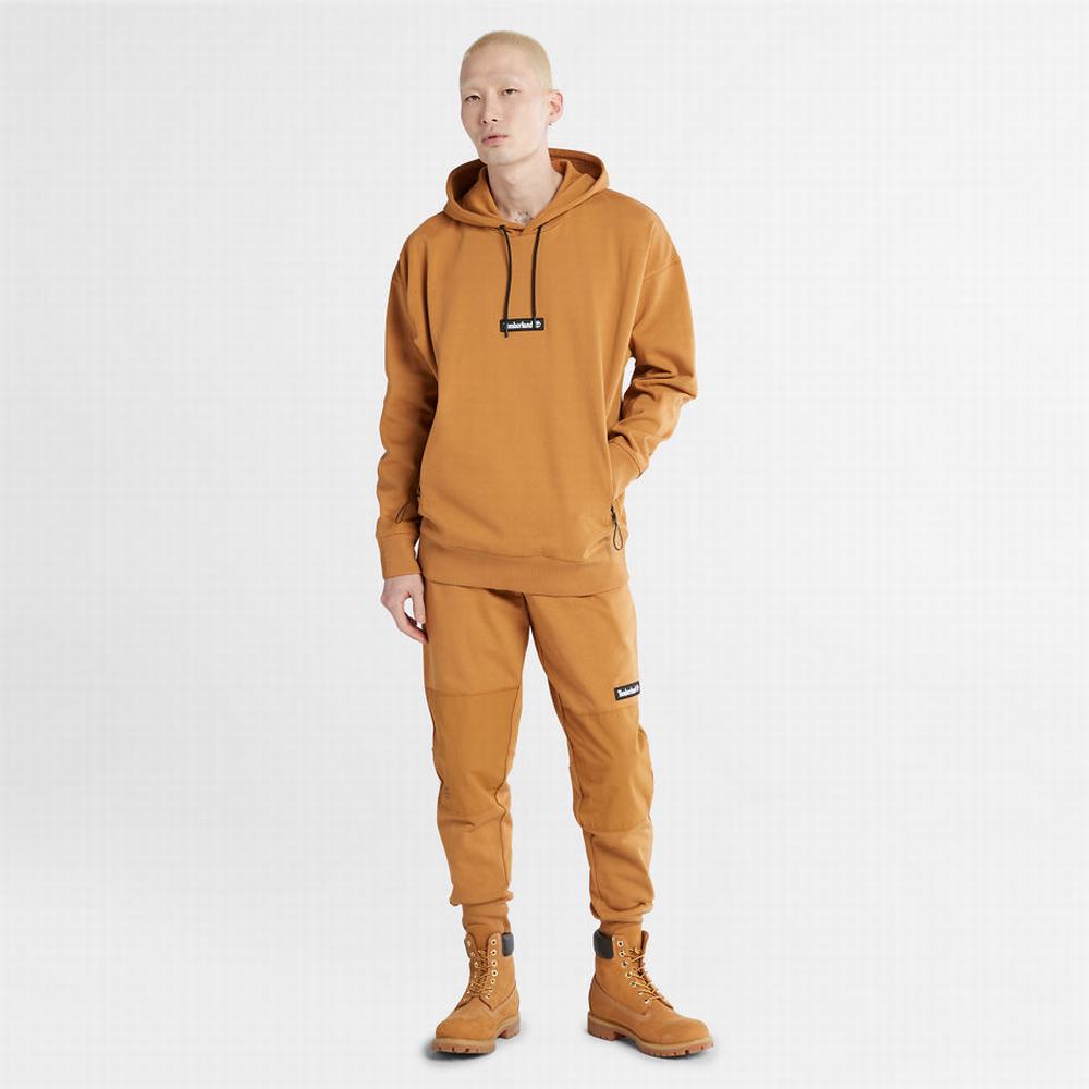 Pánské Mikiny S Kapucí Timberland Heavyweight Světle Hnědé | TI39816-915