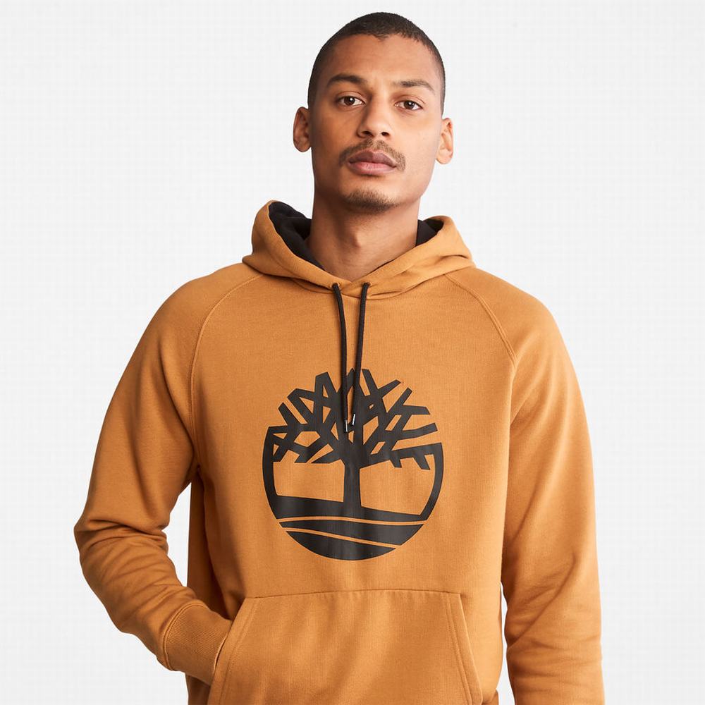 Pánské Mikiny S Kapucí Timberland Heritage Logo Žluté | TI38761-285