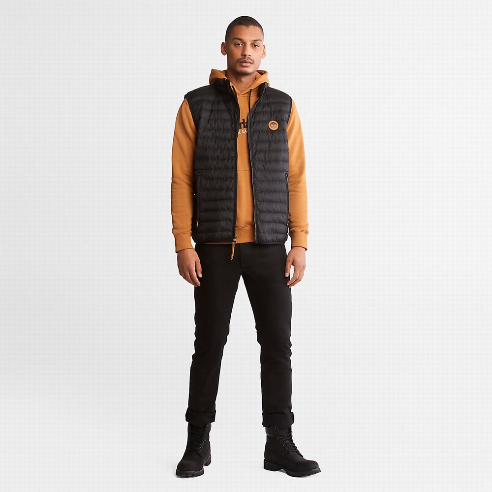 Pánské Mikiny S Kapucí Timberland Vítr, Vody, Earth and Sky™ Hnědé | TI42318-947