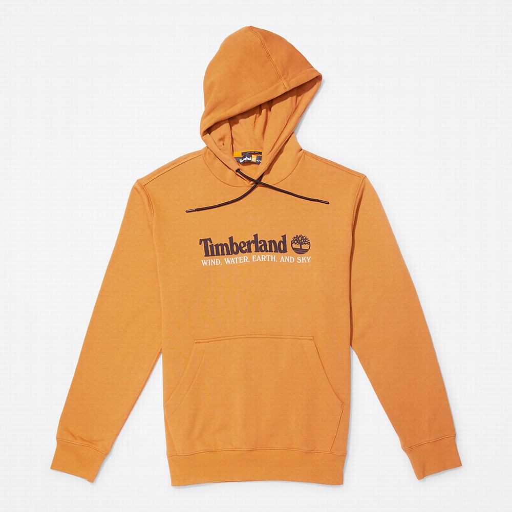 Pánské Mikiny S Kapucí Timberland Vítr, Vody, Earth and Sky™ Hnědé | TI42318-947