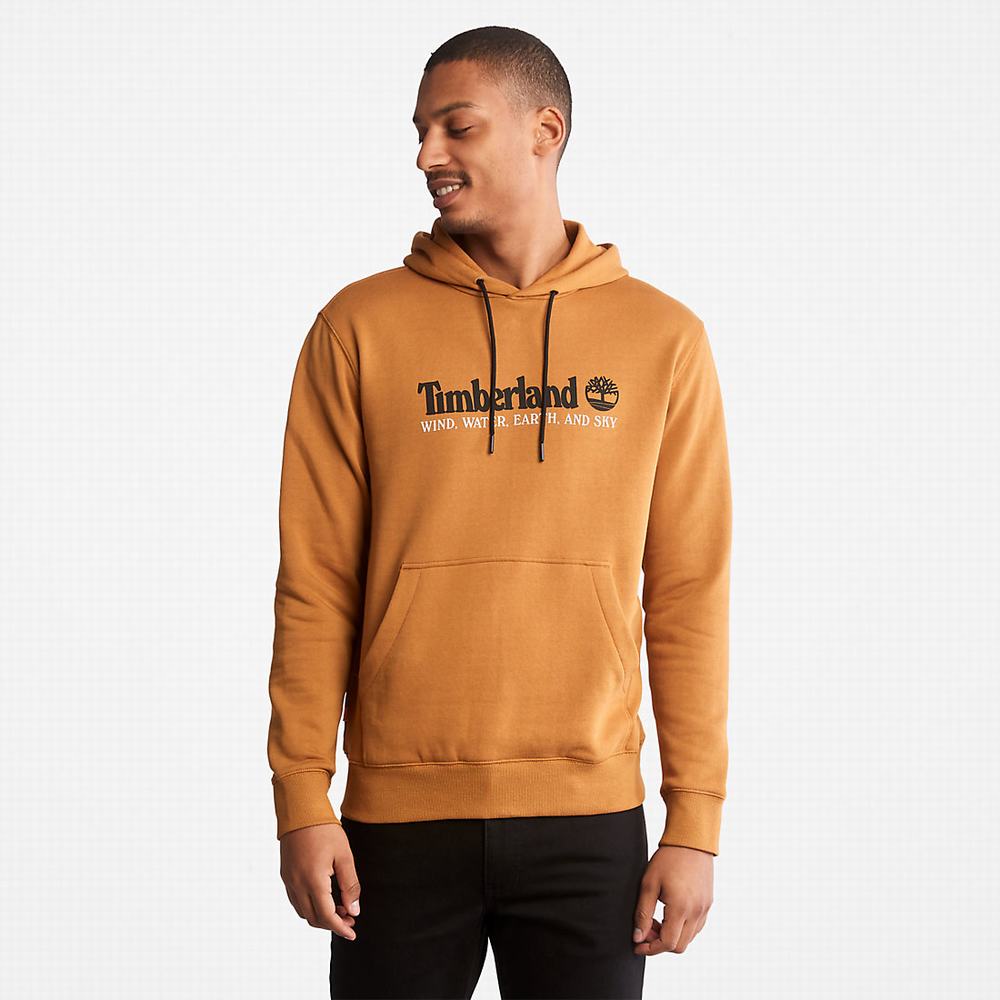 Pánské Mikiny S Kapucí Timberland Vítr, Vody, Earth and Sky™ Hnědé | TI42318-947