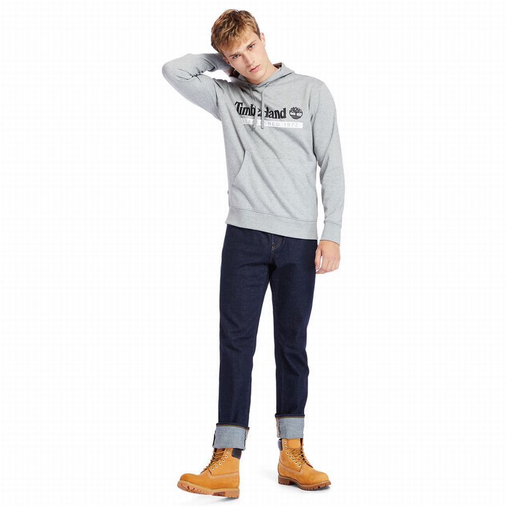 Pánské Mikiny Timberland 1973 S Kapucí Šedé | TI73154-971