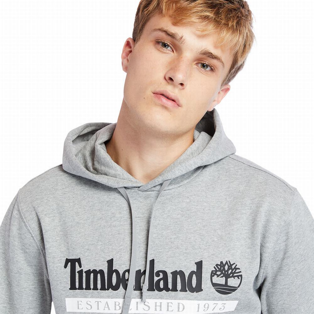 Pánské Mikiny Timberland 1973 S Kapucí Šedé | TI73154-971